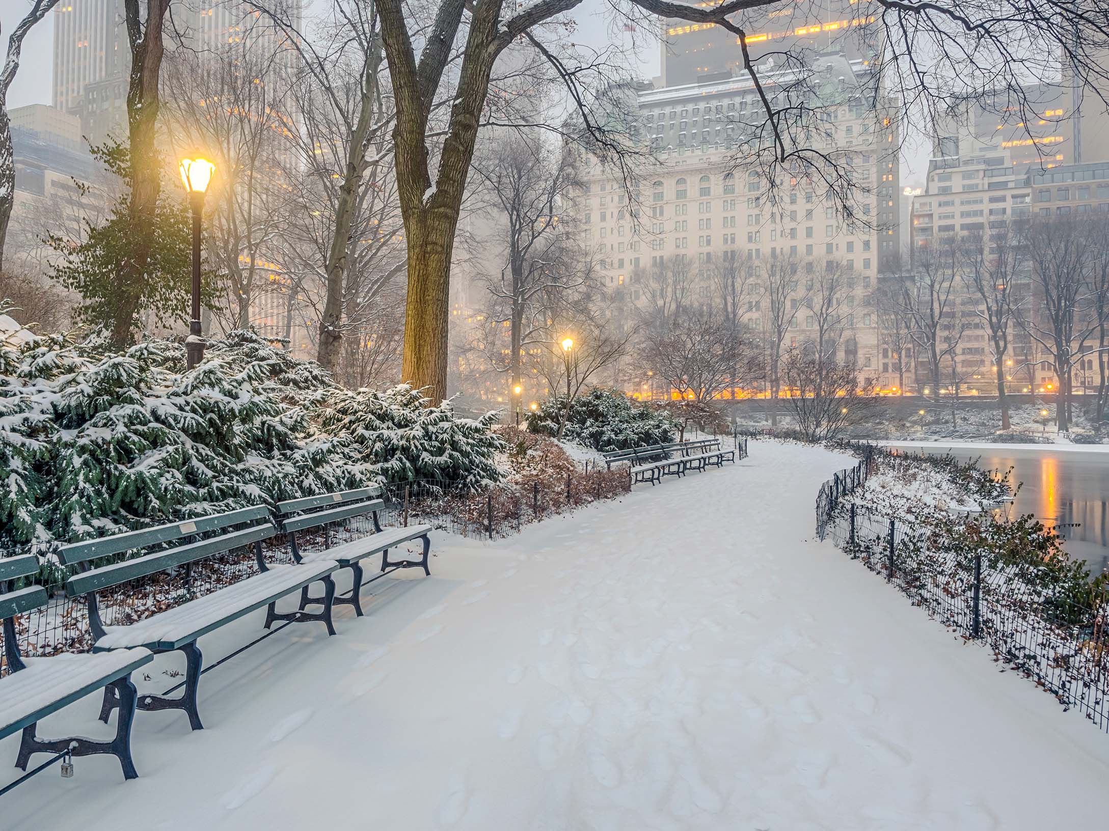 Central Park in the snow.